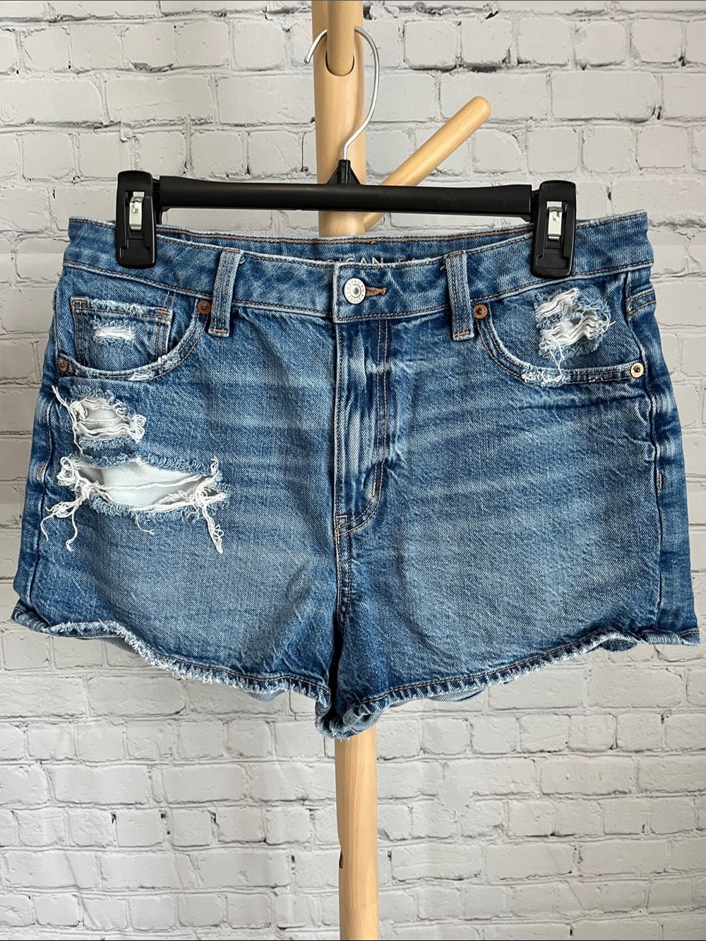 American Eagle Mom Short Distressed Blue Denim Women’s Shorts